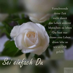 Blog 17.3.16