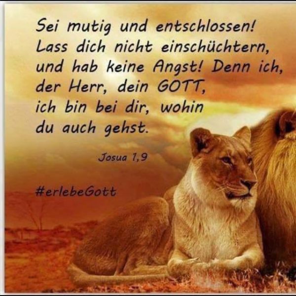 tagesimpuls-19-10-2016